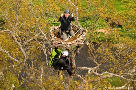 Osprey nest at Little Drumquharn Farm 